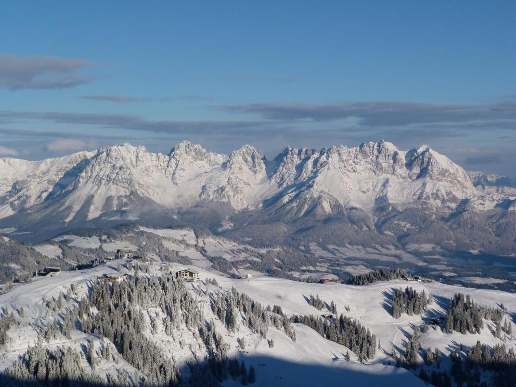 Ehrenbachhohe On Top Of The Mountain Kitzbühel Dış mekan fotoğraf
