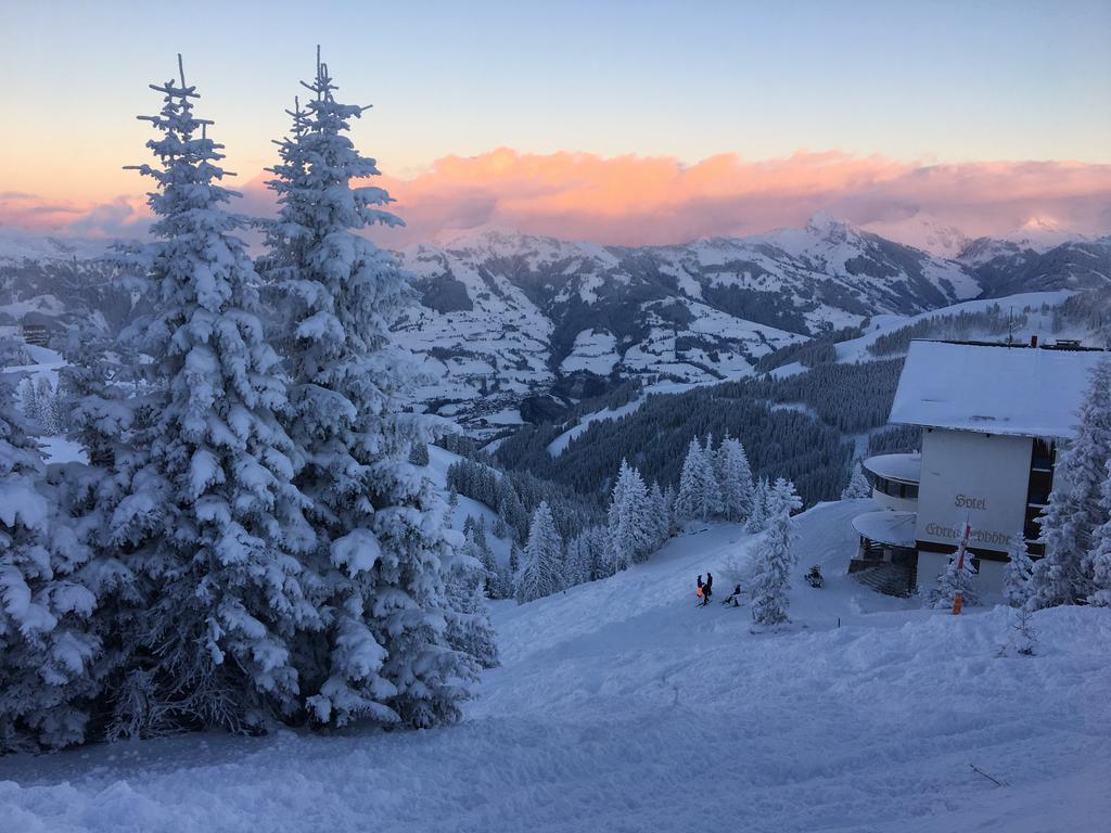 Ehrenbachhohe On Top Of The Mountain Kitzbühel Dış mekan fotoğraf