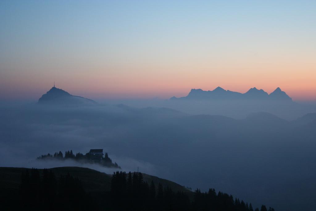 Ehrenbachhohe On Top Of The Mountain Kitzbühel Dış mekan fotoğraf